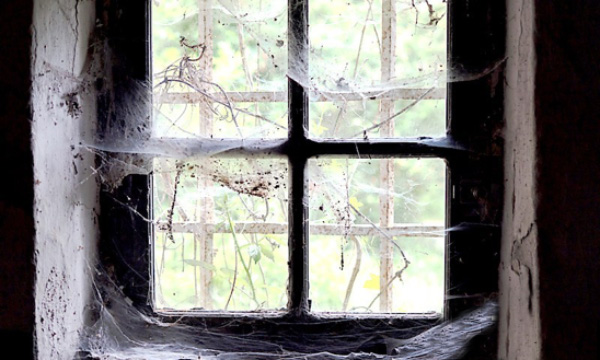 If the inside or outside of your home looks like you started decorating for Halloween early, you may have a problem.