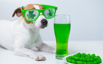 The Best St. Patrick’s Day Activities for a Day Full of Fun