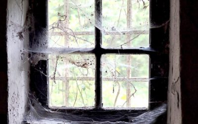 If the inside or outside of your home looks like you started decorating for Halloween early, you may have a problem.