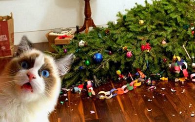 10 Holiday Horror Stories