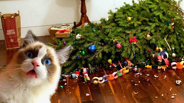 10 Holiday Horror Stories
