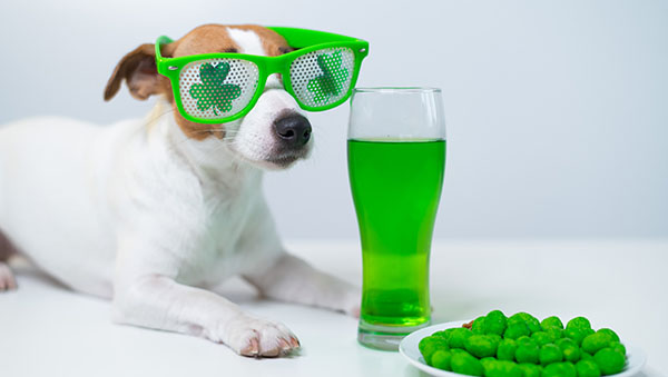 The Best St. Patrick’s Day Activities for a Day Full of Fun